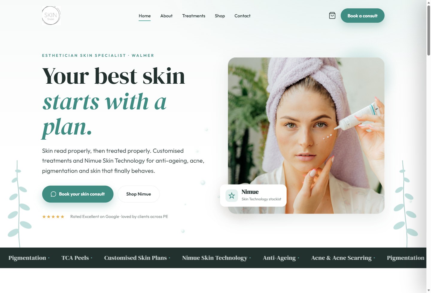 The Skin Studio website homepage on desktop
