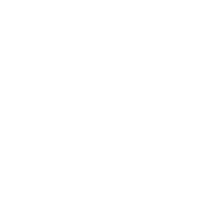 Skin Studio logo